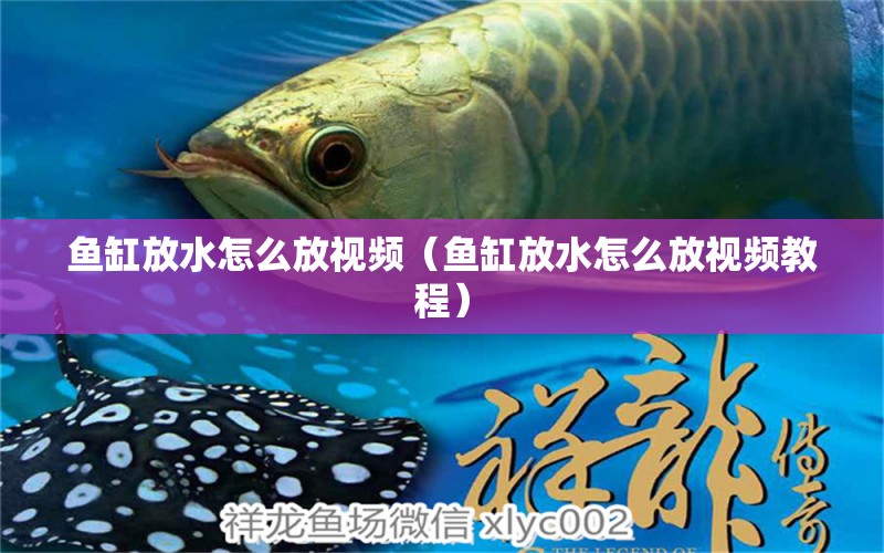 魚缸放水怎么放視頻（魚缸放水怎么放視頻教程） 觀賞魚市場（混養(yǎng)魚）