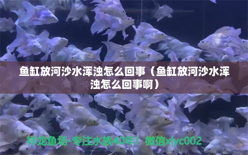 魚缸放河沙水渾濁怎么回事（魚缸放河沙水渾濁怎么回事?。?祥龍魚場