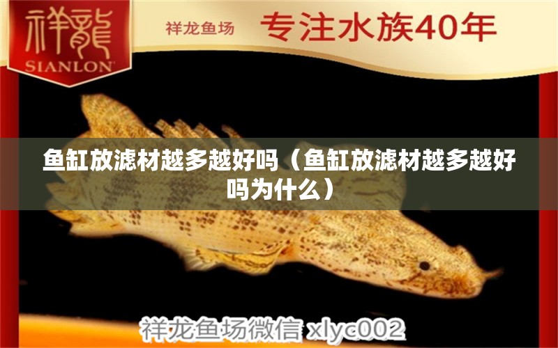 魚缸放濾材越多越好嗎（魚缸放濾材越多越好嗎為什么） 祥龍傳奇品牌魚缸