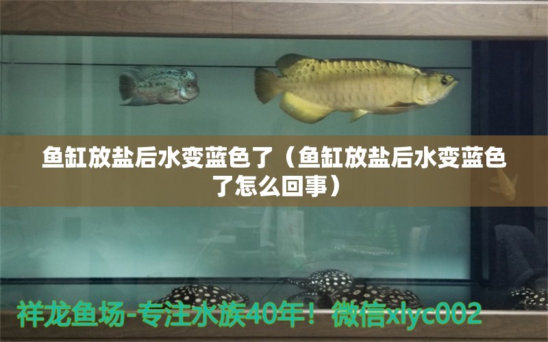 魚缸放鹽后水變藍(lán)色了（魚缸放鹽后水變藍(lán)色了怎么回事）