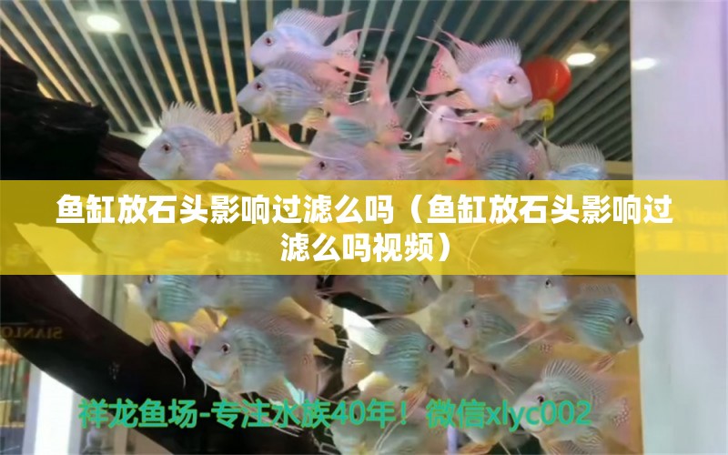 魚(yú)缸放石頭影響過(guò)濾么嗎（魚(yú)缸放石頭影響過(guò)濾么嗎視頻） 其他品牌魚(yú)缸