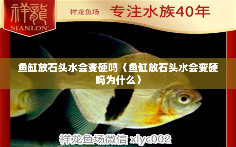 魚(yú)缸放石頭水會(huì)變硬嗎（魚(yú)缸放石頭水會(huì)變硬嗎為什么）