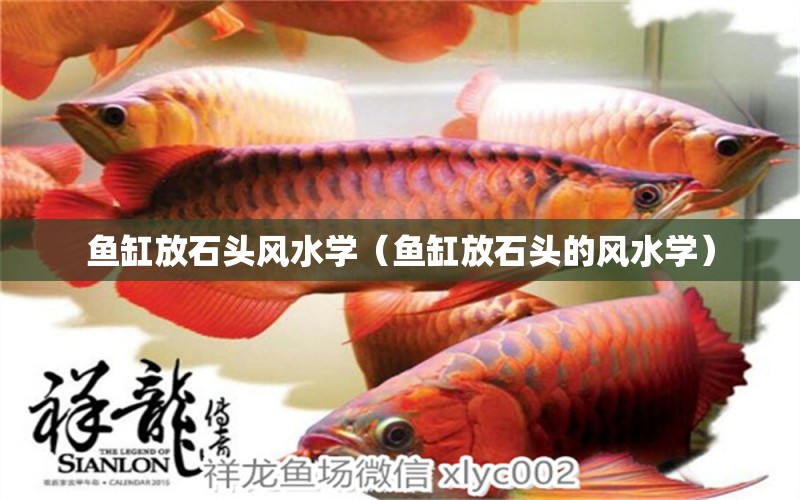 魚(yú)缸放石頭風(fēng)水學(xué)（魚(yú)缸放石頭的風(fēng)水學(xué)） 魚(yú)缸風(fēng)水