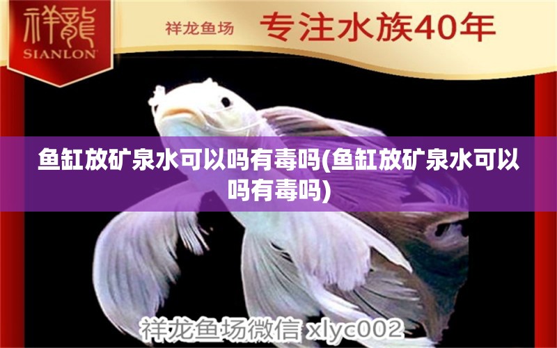 魚缸放礦泉水可以嗎有毒嗎(魚缸放礦泉水可以嗎有毒嗎) 熱帶魚魚苗批發(fā) 第1張