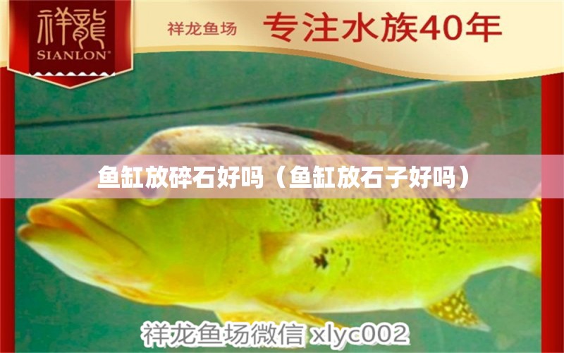 魚缸放碎石好嗎（魚缸放石子好嗎）