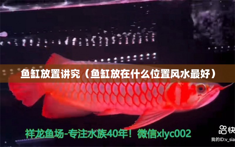 魚缸放置講究（魚缸放在什么位置風(fēng)水最好） 觀賞魚論壇