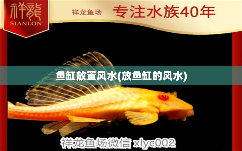 魚缸放置風(fēng)水(放魚缸的風(fēng)水) 魚缸風(fēng)水