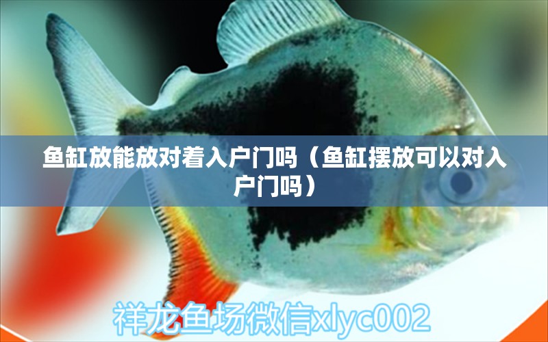 魚缸放能放對著入戶門嗎（魚缸擺放可以對入戶門嗎）