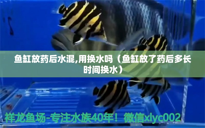 魚缸放藥后水混,用換水嗎（魚缸放了藥后多長時間換水） 廣州觀賞魚批發(fā)市場