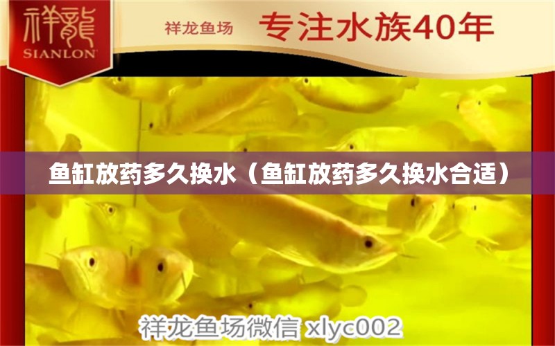 魚缸放藥多久換水（魚缸放藥多久換水合適）