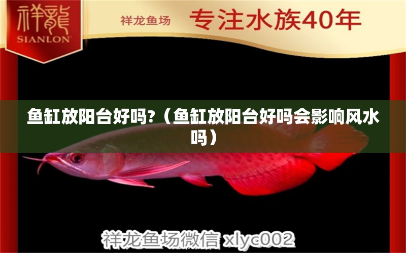 魚(yú)缸放陽(yáng)臺(tái)好嗎?（魚(yú)缸放陽(yáng)臺(tái)好嗎會(huì)影響風(fēng)水嗎） 魚(yú)缸風(fēng)水