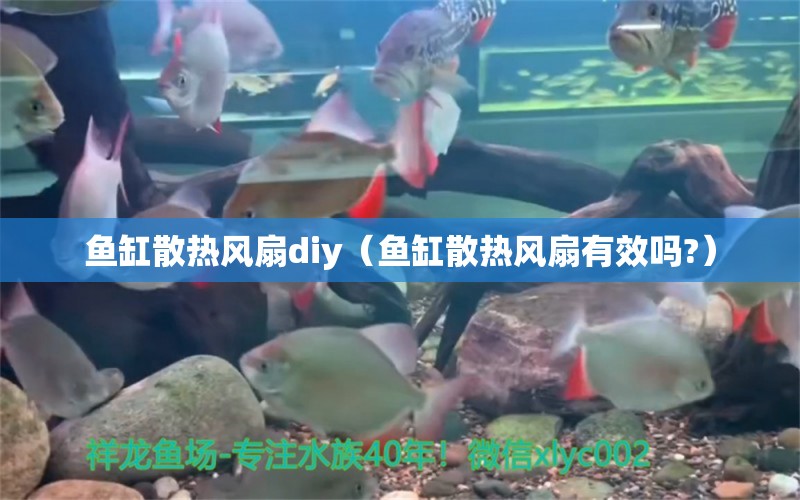 魚(yú)缸散熱風(fēng)扇diy（魚(yú)缸散熱風(fēng)扇有效嗎?）