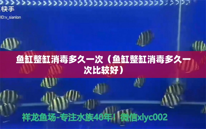 魚缸整缸消毒多久一次（魚缸整缸消毒多久一次比較好）