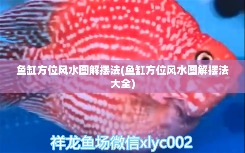 魚缸方位風(fēng)水圖解擺法(魚缸方位風(fēng)水圖解擺法大全) 魚缸風(fēng)水