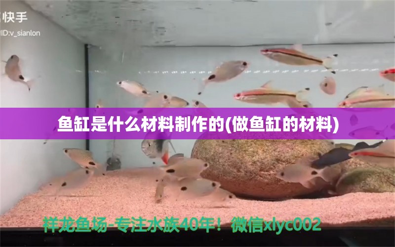 魚(yú)缸是什么材料制作的(做魚(yú)缸的材料) 水族維護(hù)服務(wù)（上門(mén)）