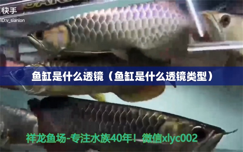 魚缸是什么透鏡（魚缸是什么透鏡類型） 水族燈（魚缸燈）