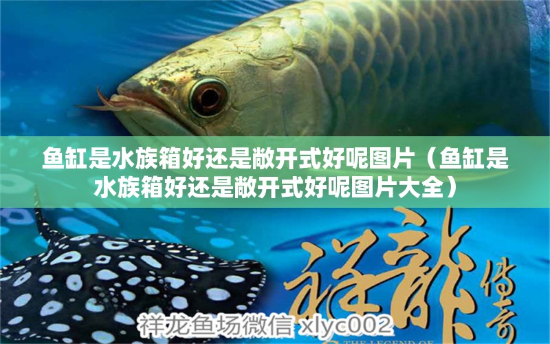 魚(yú)缸是水族箱好還是敞開(kāi)式好呢圖片（魚(yú)缸是水族箱好還是敞開(kāi)式好呢圖片大全）