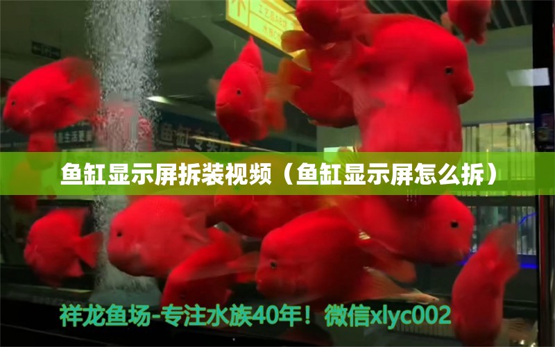 魚缸顯示屏拆裝視頻（魚缸顯示屏怎么拆）