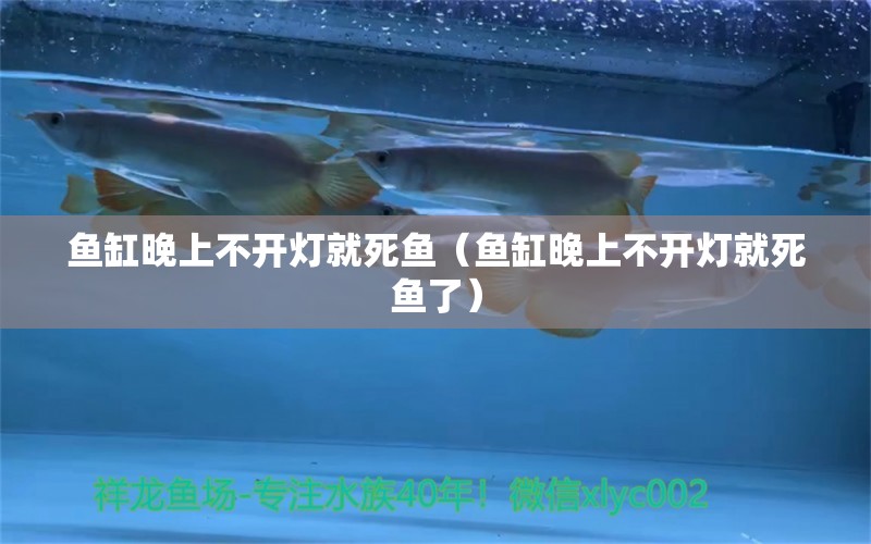 魚缸晚上不開燈就死魚（魚缸晚上不開燈就死魚了）