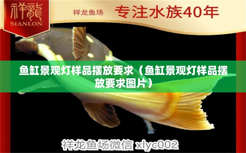 魚缸景觀燈樣品擺放要求（魚缸景觀燈樣品擺放要求圖片）