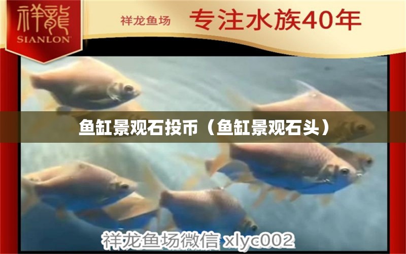 魚缸景觀石投幣（魚缸景觀石頭）