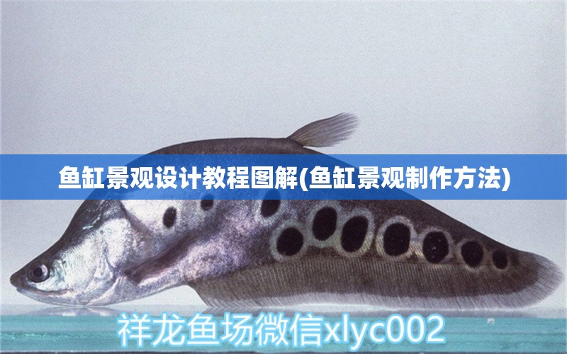 魚缸景觀設(shè)計(jì)教程圖解(魚缸景觀制作方法) 廣州景觀設(shè)計(jì) 第1張