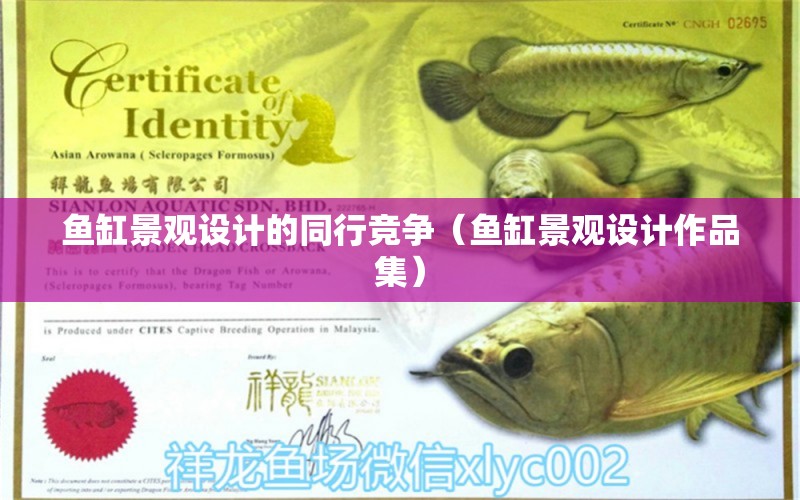 魚缸景觀設計的同行競爭（魚缸景觀設計作品集）