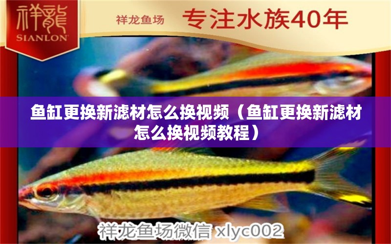 魚缸更換新濾材怎么換視頻（魚缸更換新濾材怎么換視頻教程）