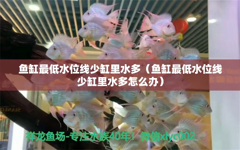 魚缸最低水位線少缸里水多（魚缸最低水位線少缸里水多怎么辦） 祥龍水族醫(yī)院 第1張