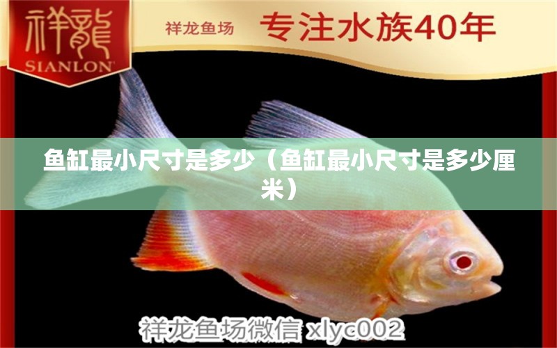 魚缸最小尺寸是多少（魚缸最小尺寸是多少厘米） 廣州觀賞魚批發(fā)市場