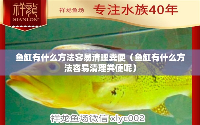 魚(yú)缸有什么方法容易清理糞便（魚(yú)缸有什么方法容易清理糞便呢） 觀賞魚(yú)市場(chǎng)（混養(yǎng)魚(yú)）