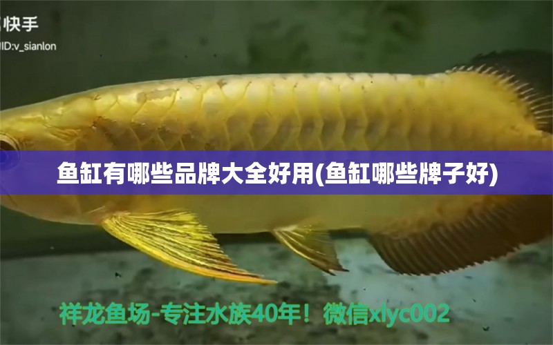 魚缸有哪些品牌大全好用(魚缸哪些牌子好) 廣州祥龍國際水族貿(mào)易