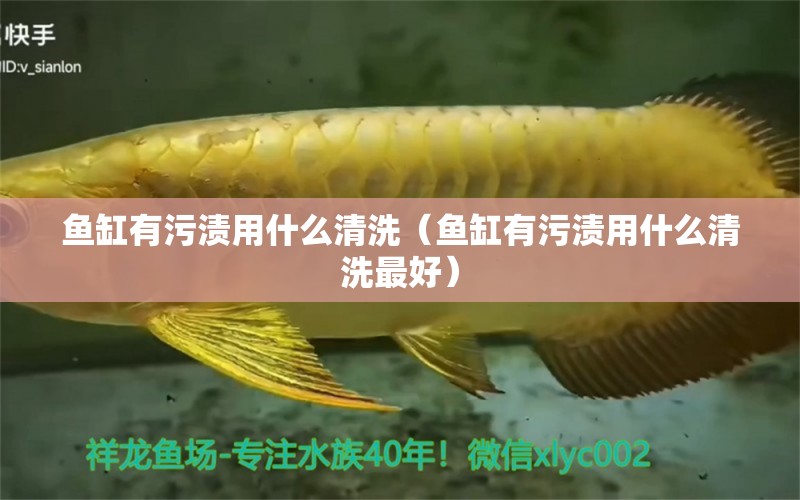 魚缸有污漬用什么清洗（魚缸有污漬用什么清洗最好）