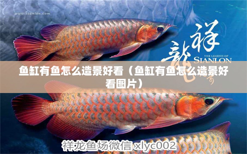 魚缸有魚怎么造景好看（魚缸有魚怎么造景好看圖片）