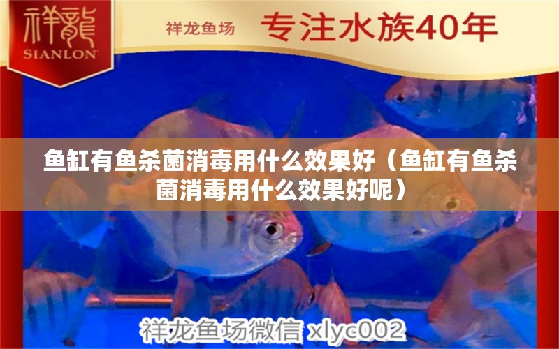 魚(yú)缸有魚(yú)殺菌消毒用什么效果好（魚(yú)缸有魚(yú)殺菌消毒用什么效果好呢）