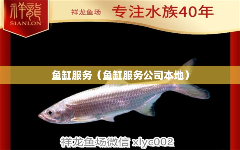 魚缸服務(wù)（魚缸服務(wù)公司本地） 其他品牌魚缸