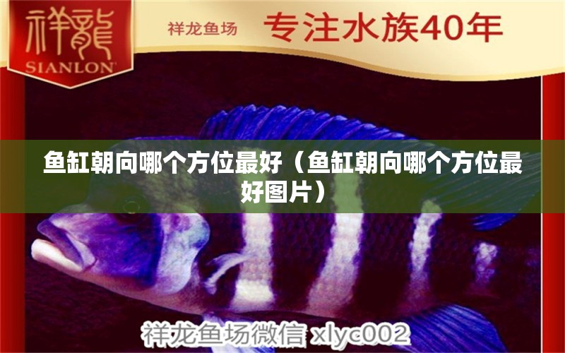 魚缸朝向哪個方位最好（魚缸朝向哪個方位最好圖片） 其他品牌魚缸