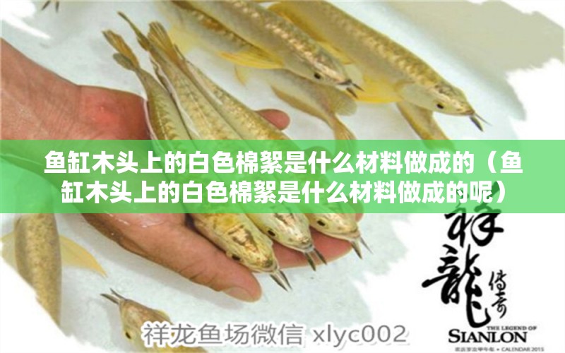 魚缸木頭上的白色棉絮是什么材料做成的（魚缸木頭上的白色棉絮是什么材料做成的呢）