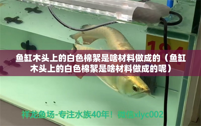 魚缸木頭上的白色棉絮是啥材料做成的（魚缸木頭上的白色棉絮是啥材料做成的呢）