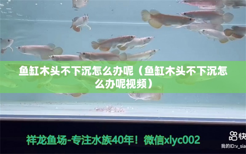 魚缸木頭不下沉怎么辦呢（魚缸木頭不下沉怎么辦呢視頻）