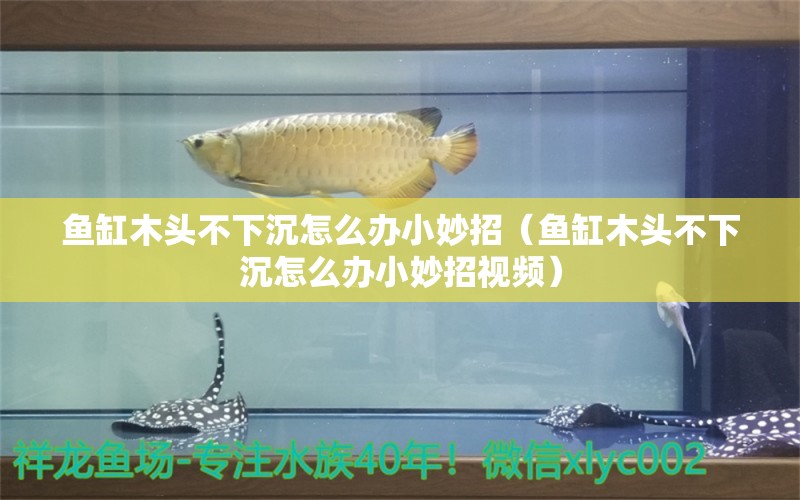 魚缸木頭不下沉怎么辦小妙招（魚缸木頭不下沉怎么辦小妙招視頻） 其他品牌魚缸