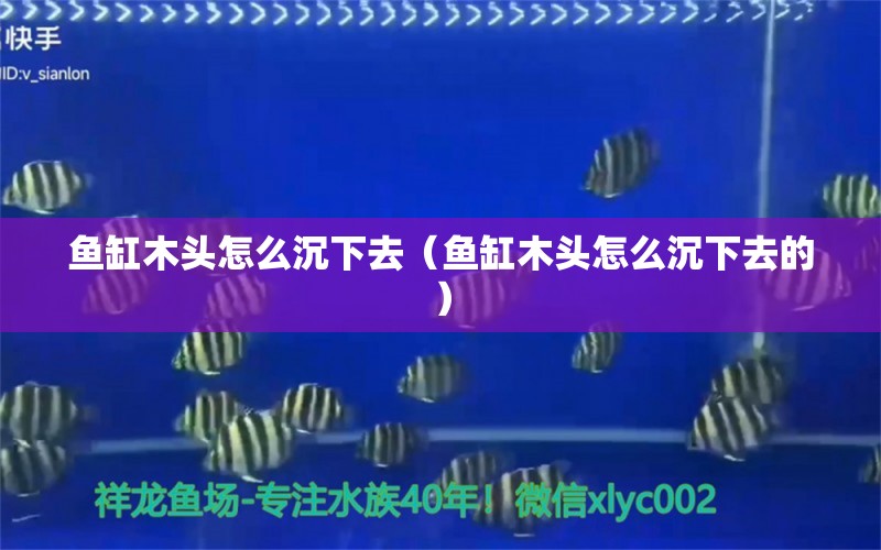 魚缸木頭怎么沉下去（魚缸木頭怎么沉下去的）