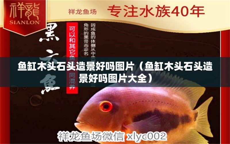 魚缸木頭石頭造景好嗎圖片（魚缸木頭石頭造景好嗎圖片大全）