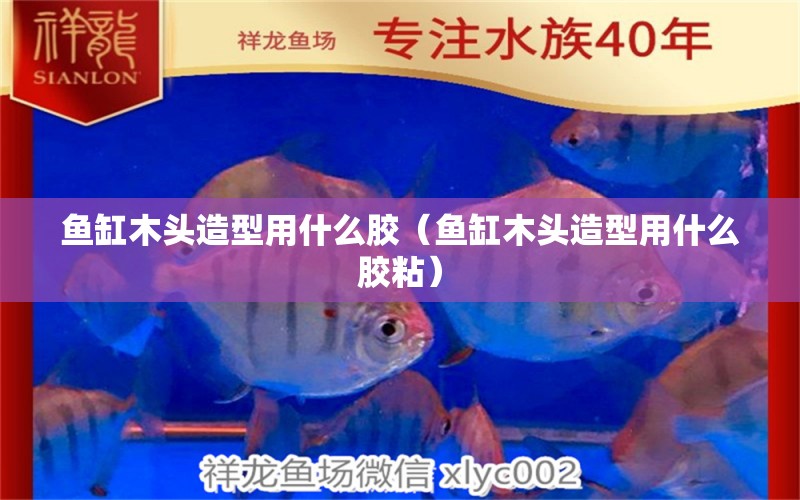 魚(yú)缸木頭造型用什么膠（魚(yú)缸木頭造型用什么膠粘）