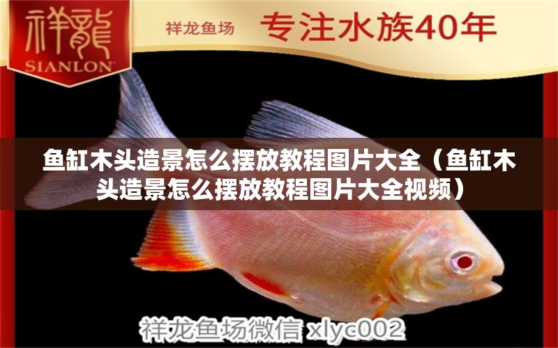 魚缸木頭造景怎么擺放教程圖片大全（魚缸木頭造景怎么擺放教程圖片大全視頻）