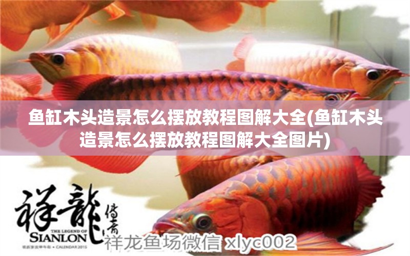 魚(yú)缸木頭造景怎么擺放教程圖解大全(魚(yú)缸木頭造景怎么擺放教程圖解大全圖片)