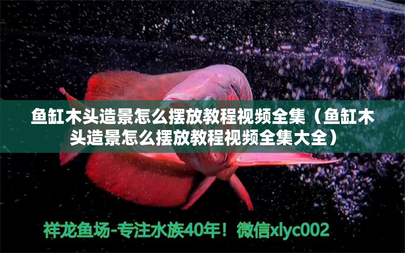 魚缸木頭造景怎么擺放教程視頻全集（魚缸木頭造景怎么擺放教程視頻全集大全） 其他品牌魚缸