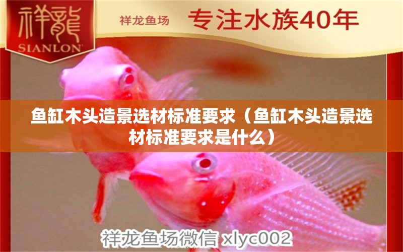 魚缸木頭造景選材標(biāo)準(zhǔn)要求（魚缸木頭造景選材標(biāo)準(zhǔn)要求是什么）