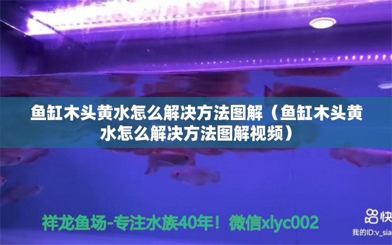 魚缸木頭黃水怎么解決方法圖解（魚缸木頭黃水怎么解決方法圖解視頻） 其他品牌魚缸