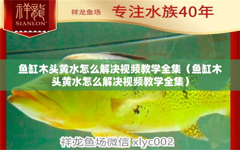 魚缸木頭黃水怎么解決視頻教學(xué)全集（魚缸木頭黃水怎么解決視頻教學(xué)全集） 其他品牌魚缸